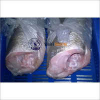 Fresh Corvina Fish