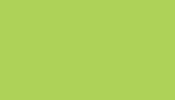 Summer Fern