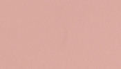 Merrie Pink