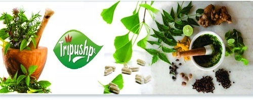 FRANCHISE OF HERBAL COMPANY
