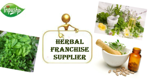 Ayurvedic Products Pharma PCD