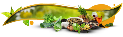 Herbal Pharma PCD in Assam