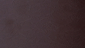 Aniline Leather