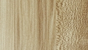 Buk Veneer Light