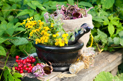 PCD Pharma and Ayurvedic Franchise