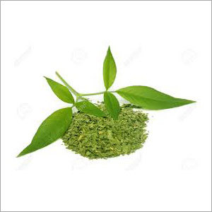 Dried Herbs Vitex Negundo