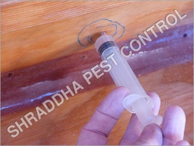 Anti Wood Borer Treatment Services