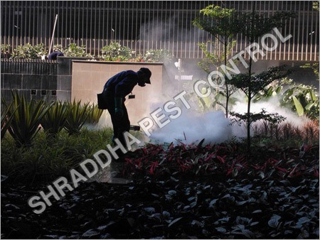 Mosquito Pest Control Services