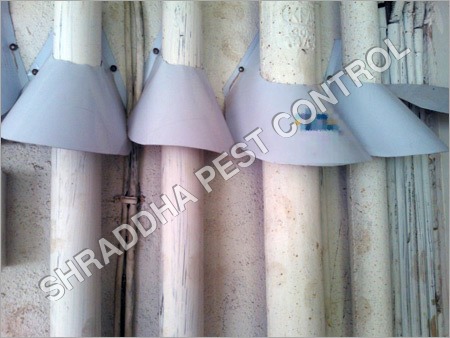 Rat Pest Control Solution