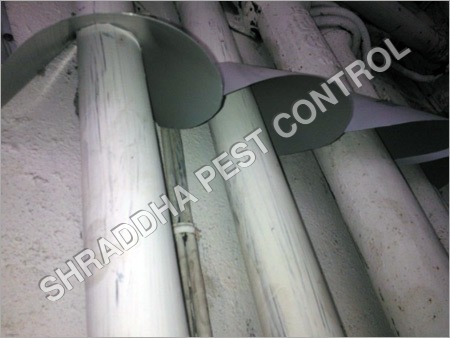 Mice Pest Control Services