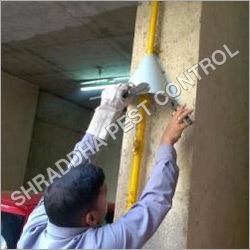 Rat Pest Control Services