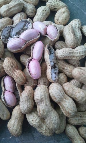 Peanuts