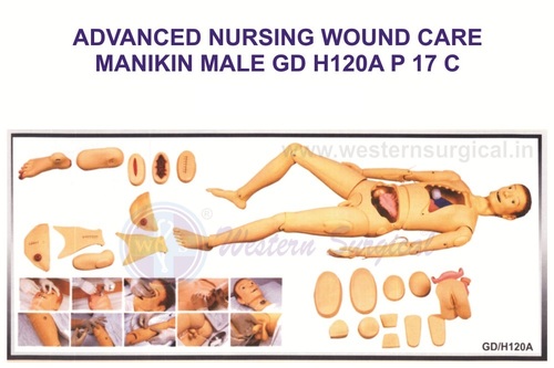 Advanced Nursing & Wound Care Manikin(Male)