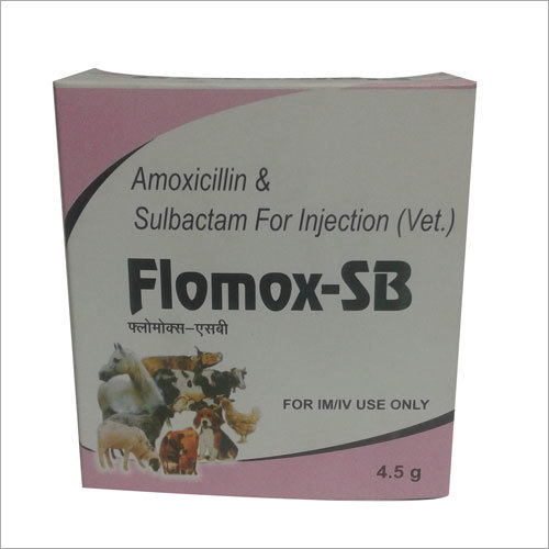 Flomox Sb Amoxicillin And Sulbactam For Injection General Medicines