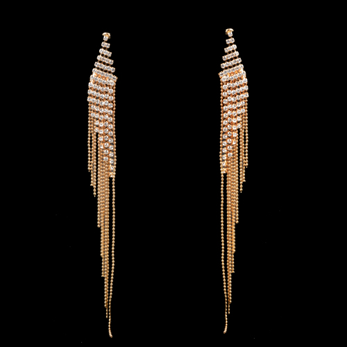 fancy Earring