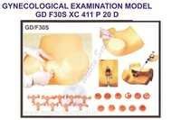 Gynecological Examination Model