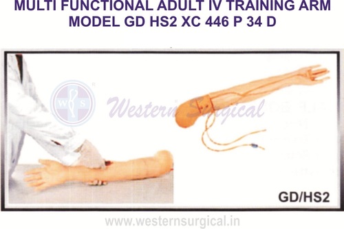 Multi Functional I.V. Training Arm