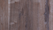 Anigre Veneer Light