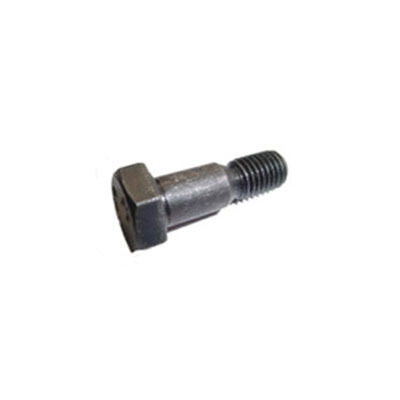 Brake Carrier Bolt