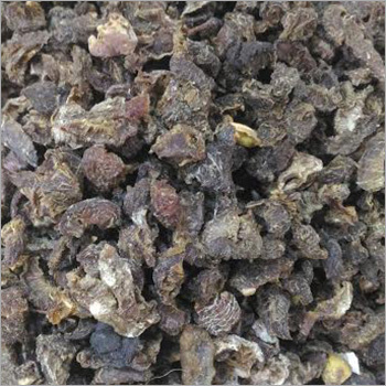 Ayurvedic Raw Material