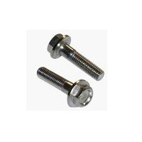 Serrated Flange Screw