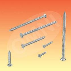 Self Tapping Screws