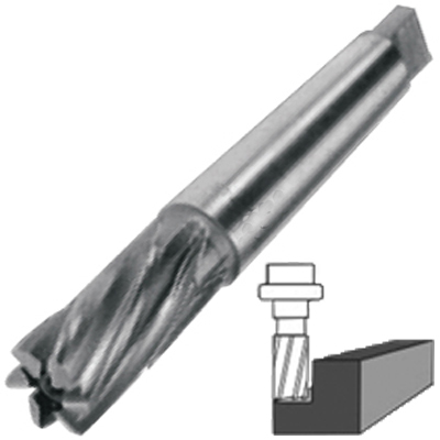 HSS Taper Shank End Mill