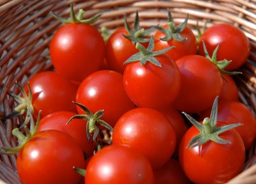 Tomato Vegetable