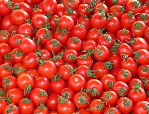 Tomato Fresh Vegetable