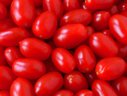 Fresh Red Tomato