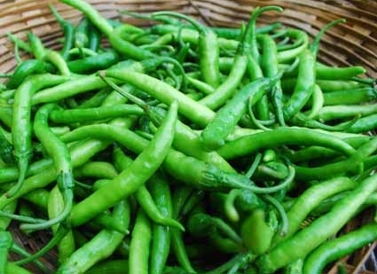 Green Fresh Chilli