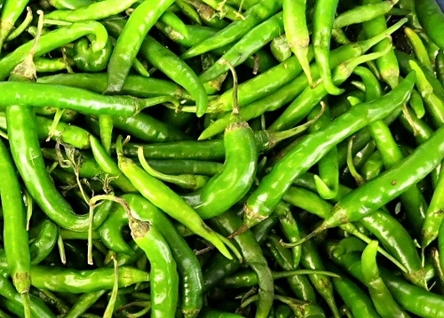 Indian Green Chilli