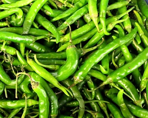 Fresh Indian Green Chilli