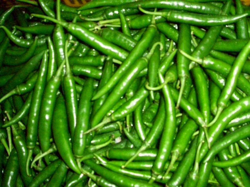 Hot Spicy Green Chilli