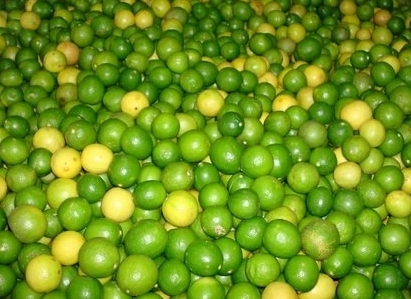 Fresh Green Lemon