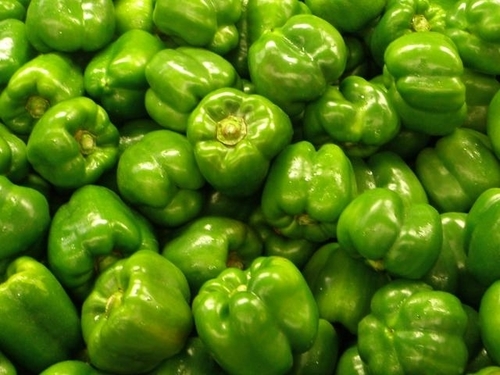 Fresh Green Capsicum Pepper