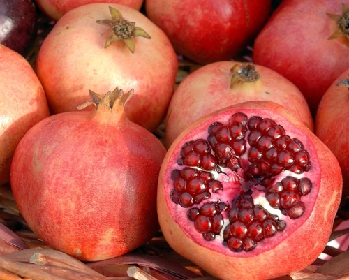 Indian Fresh Pomegranate Exporter