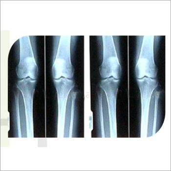 X Ray Viewer Panel