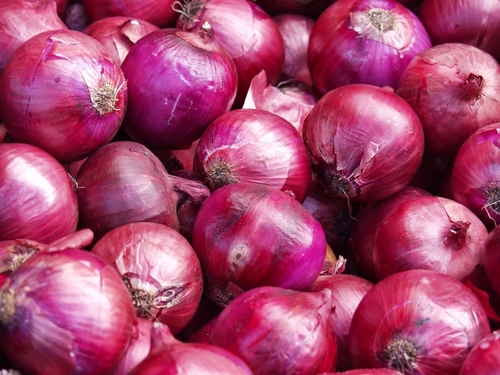 Fresh Red Indian Onion