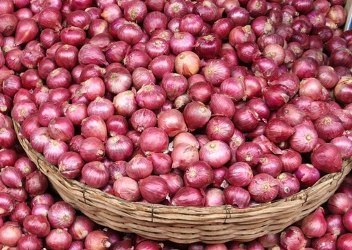 Fresh Red Onion