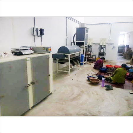 Automatic Cashew Nut Processing Plant