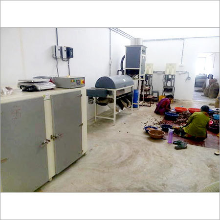 Kaju Processing Machine