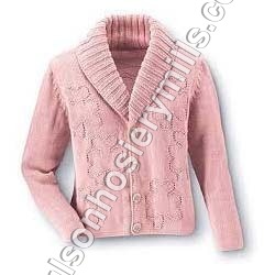 Ladies Sweater