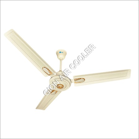 Indoor Ceiling Fans
