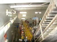 Mango Processing Machinery