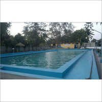 Swimming Pool Consultancy