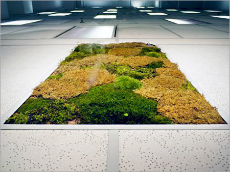 Artificial Grass Ceiling