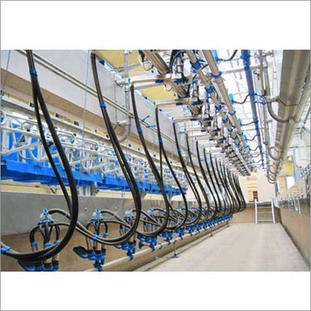 Swingover Milking Parlour