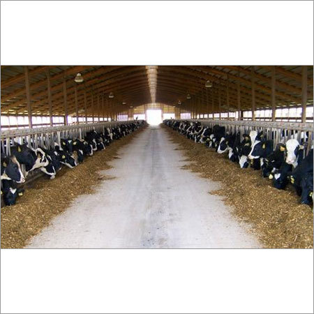 Dairy Shed Complete