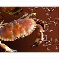 Non-Toxic, Biodegradable, and Biocompatible Chitin Chitosan